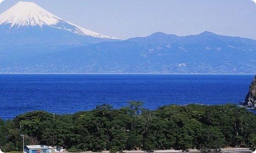 某市医保局在人大常委会视察医保工作的汇报发言