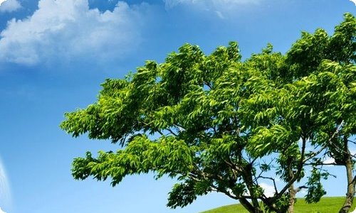 2023市委宣传部集中学习《中国共产党宣传工作条例》的感悟