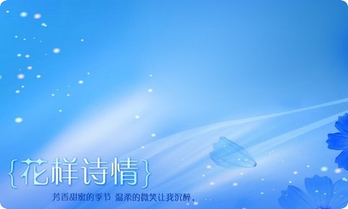 政府2023年工作总结和2023年工作计划的报告