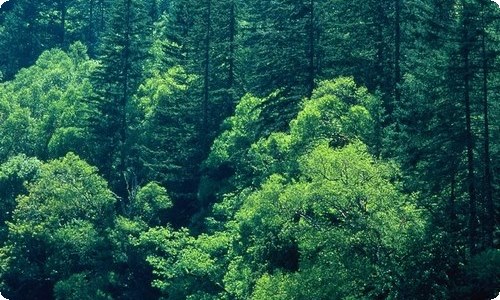 2023在廉政谈话暨谈心谈话会议上的讲话