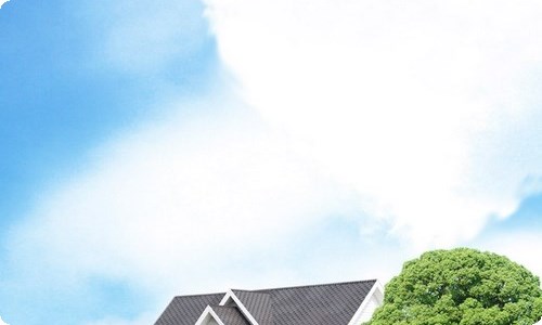 2023党建引领区域再造新材料产业发展情况汇报