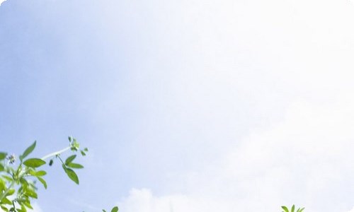 某市场监管局特种设备安全形势分析报告