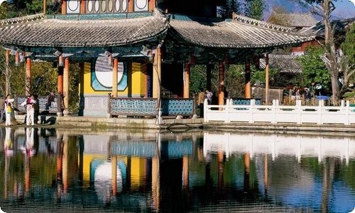 2023关于开展城市绿色配送项目的情况报告