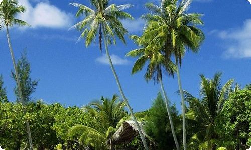 2023在百日安全创建百日攻坚战动员部署会上的讲话提纲