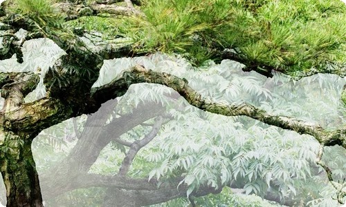 2023基层组织建设工作汇报