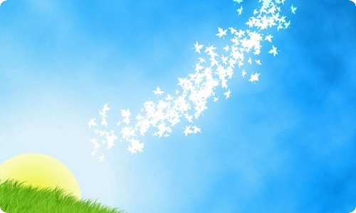 2023纪检监察干部队伍教育整顿学习交流发言：把纪律教育作为基础性工作来抓