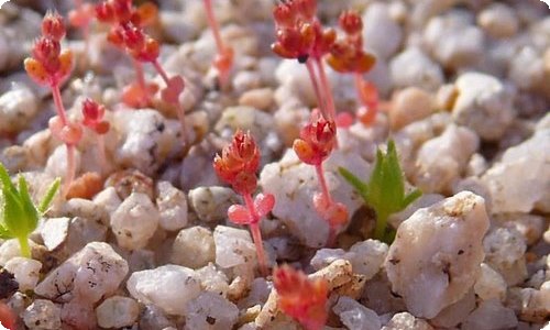20234篇中秋节升旗仪式国旗下讲话