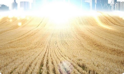  市场监管局2022年上半年工作汇报材料