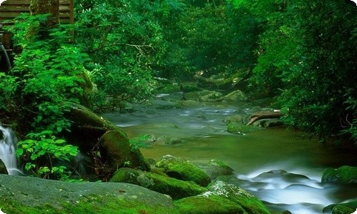  基层“一肩挑”带头人队伍建设调研报告