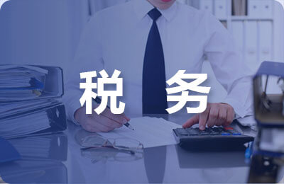 税务纳税评估报告